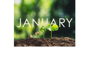 What Can I Plant in January?