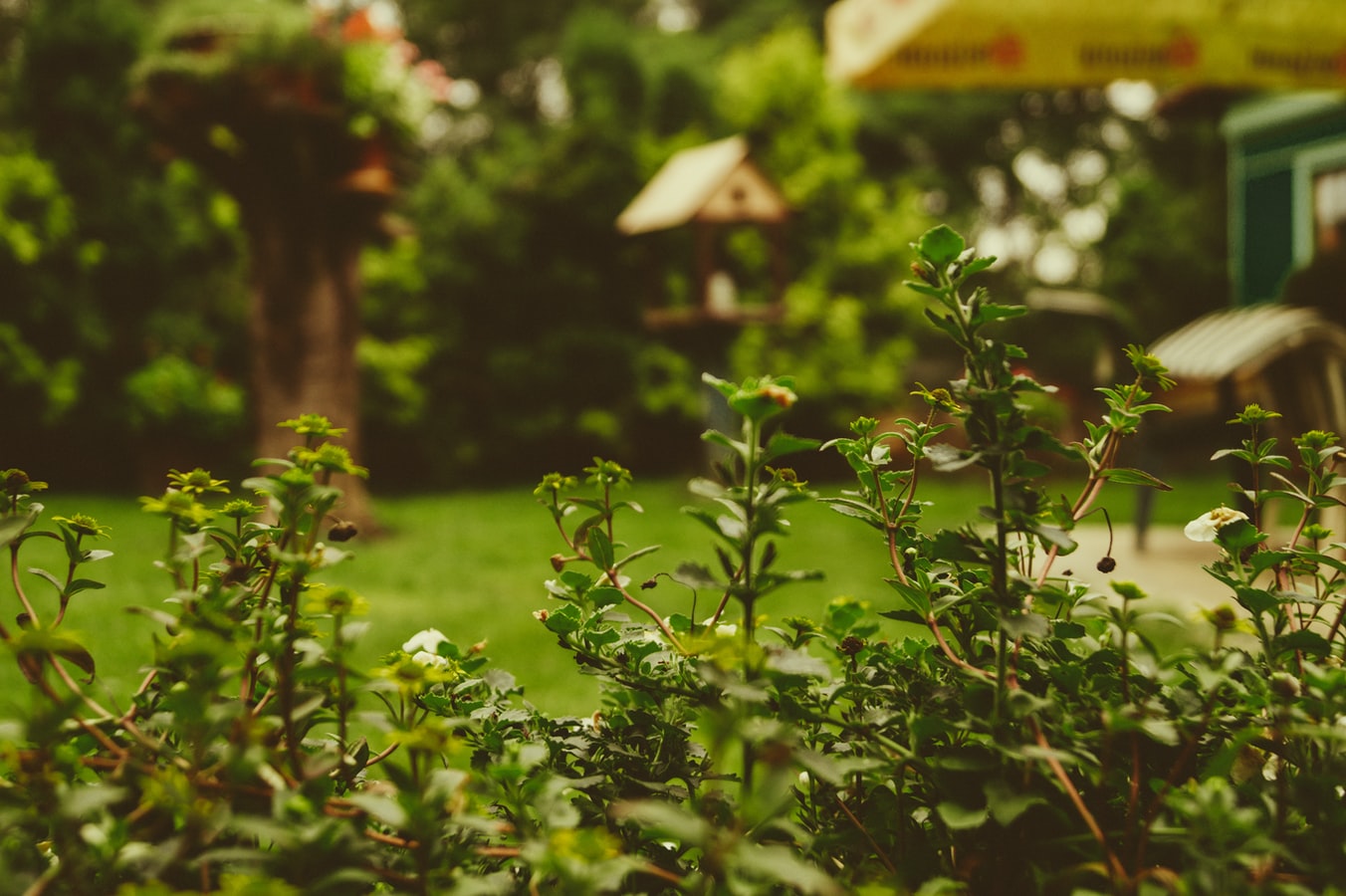 How to Care For Your Garden In Winter Blog